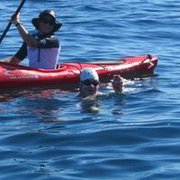 Ausy refreshment during Rottnest swim